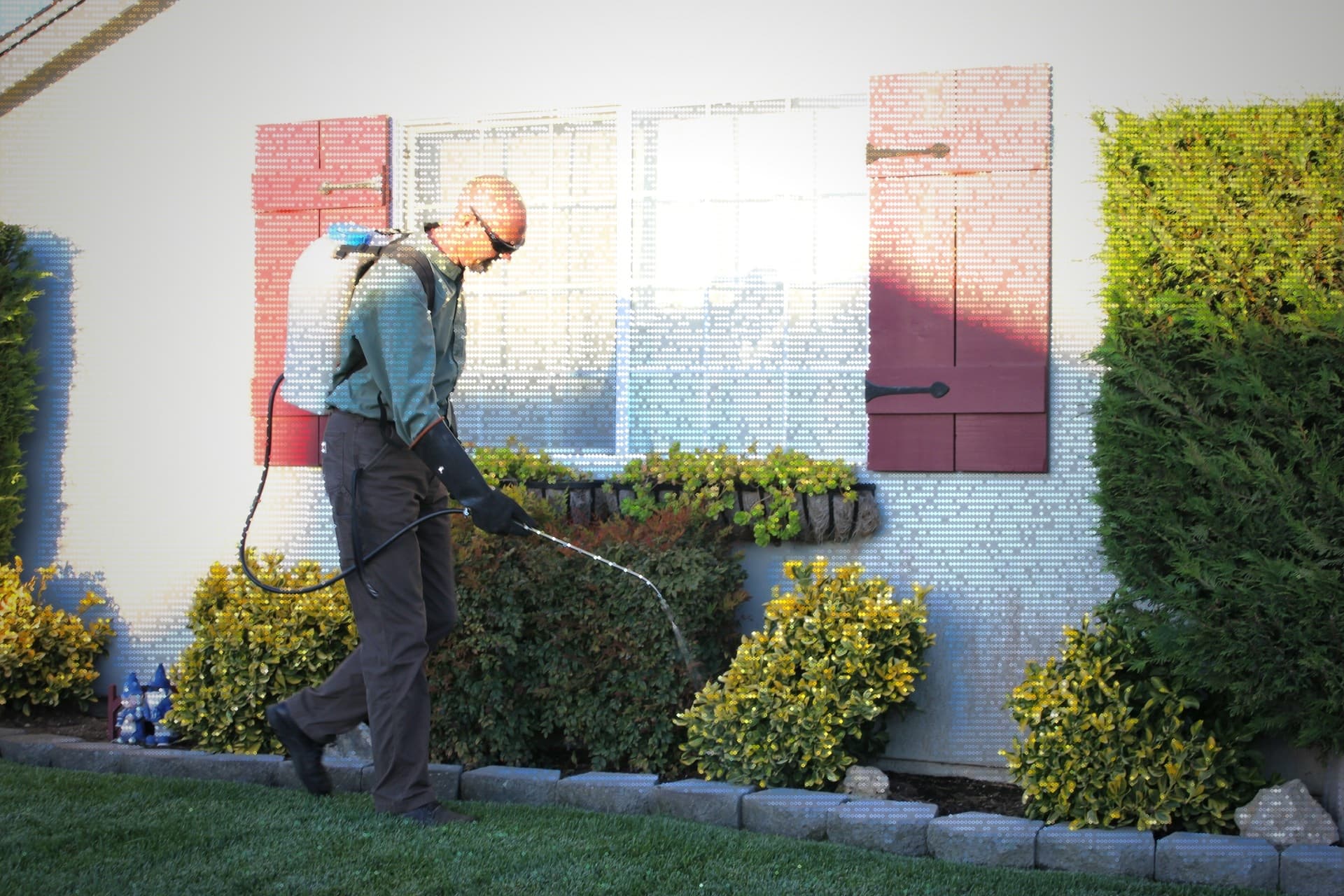 ASCII-style image of an Aspen pest control technician treating the exterior of a Vancouver-area home